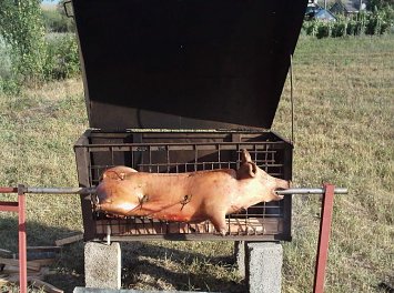 Bibanu' Nunta Iasi