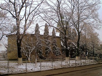 Sfantul Vasile cel Mare Nunta Iasi