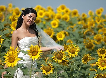 Foto Studio Enigma Nunta Iasi